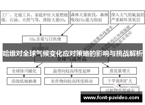 哈维对全球气候变化应对策略的影响与挑战解析