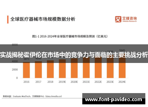 实战揭秘霍伊伦在市场中的竞争力与面临的主要挑战分析