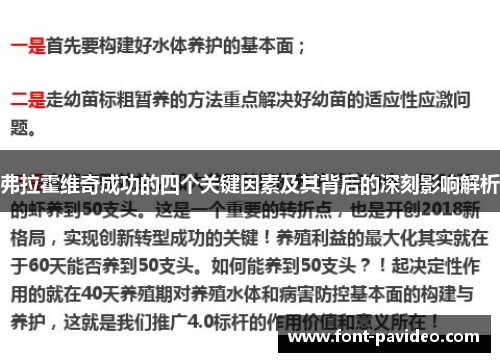 弗拉霍维奇成功的四个关键因素及其背后的深刻影响解析 弗拉霍维奇成功的四个关键因素及其背后的深刻影响解析